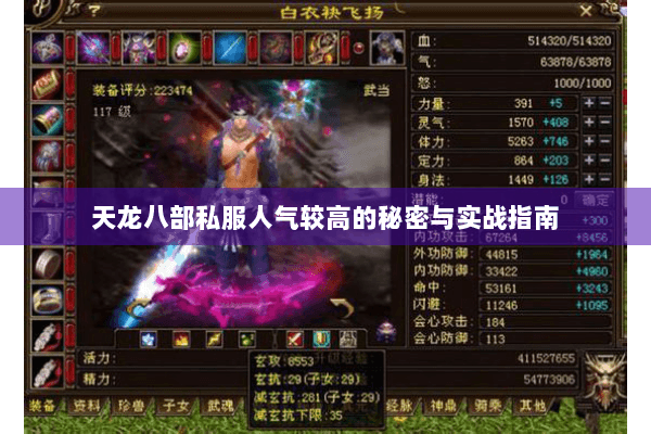 天龙八部私服人气较高的秘密与实战指南