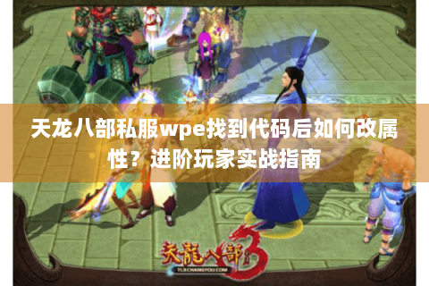 天龙八部私服wpe找到代码后如何改属性？进阶玩家实战指南
