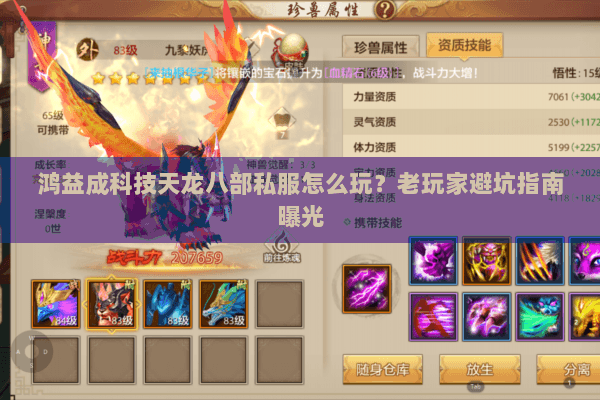 鸿益成科技天龙八部私服怎么玩？老玩家避坑指南曝光