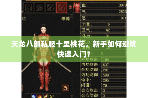 天龙八部私服十里桃花,新手如何避坑快速入门? 天龙八部私服十里桃花,新手如何避坑快速入门?