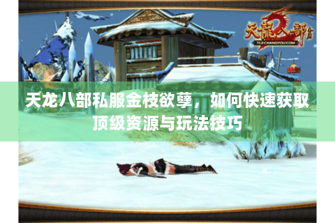 天龙八部私服金枝欲孽,如何快速获取顶级资源与玩法技巧 天龙八部私服金枝欲孽,如何快速获取顶级资源与玩法技巧
