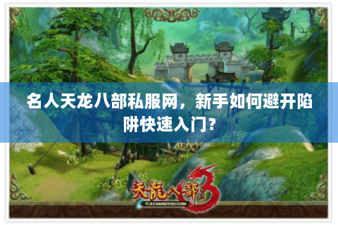 名人天龙八部私服网，新手如何避开陷阱快速入门？