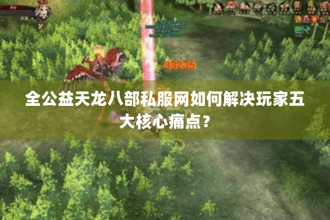 全公益天龙八部私服网如何解决玩家五大核心痛点? 全公益天龙八部私服网如何解决玩家五大核心痛点?