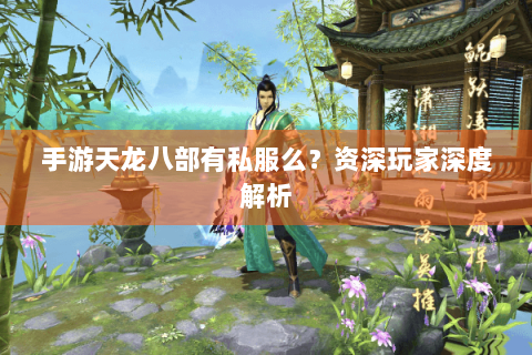 手游天龙八部有私服么？资深玩家深度解析