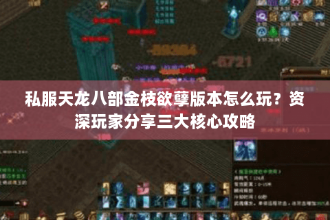 私服天龙八部金枝欲孽版本怎么玩？资深玩家分享三大核心攻略