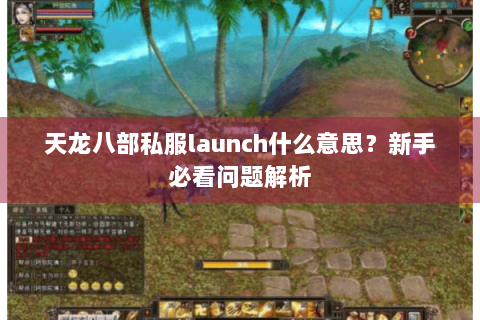 天龙八部私服launch什么意思?新手必看问题解析 天龙八部私服launch什么意思?新手必看问题解析