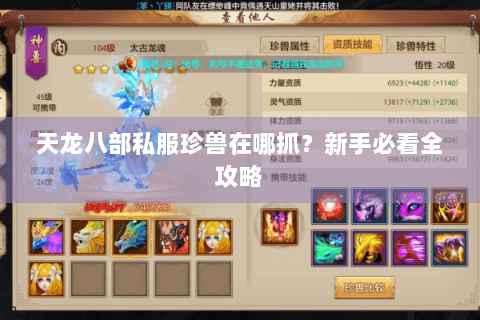 天龙八部私服珍兽在哪抓？新手必看全攻略