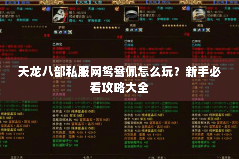 天龙八部私服网鸳鸯佩怎么玩?新手必看攻略大全 天龙八部私服网鸳鸯佩怎么玩?新手必看攻略大全