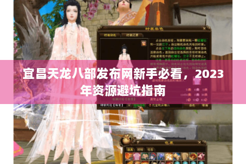 宜昌天龙八部发布网新手必看，2023年资源避坑指南