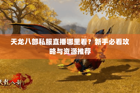 天龙八部私服直播哪里看？新手必看攻略与资源推荐