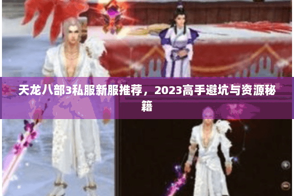天龙八部3私服新服推荐，2023高手避坑与资源秘籍