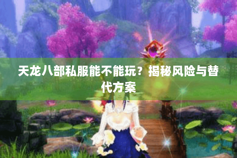 天龙八部私服能不能玩？揭秘风险与替代方案