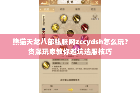 熊猫天龙八部私服网zccydsh怎么玩？资深玩家教你避坑选服技巧