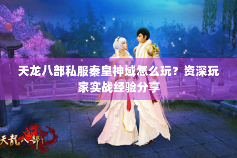 天龙八部私服秦皇神域怎么玩？资深玩家实战经验分享