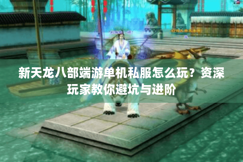 新天龙八部端游单机私服怎么玩？资深玩家教你避坑与进阶