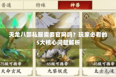天龙八部私服需要官网吗?玩家必看的5大核心问题解析 天龙八部私服需要官网吗?玩家必看的5大核心问题解析
