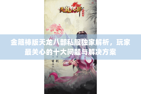 金箍棒版天龙八部私服独家解析，玩家最关心的十大问题与解决方案