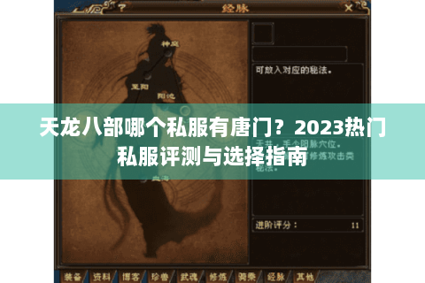 天龙八部哪个私服有唐门？2023热门私服评测与选择指南