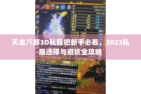 天龙八部3D私服吧新手必看,2023私服选择与避坑全攻略 天龙八部3D私服吧新手必看,2023私服选择与避坑全攻略