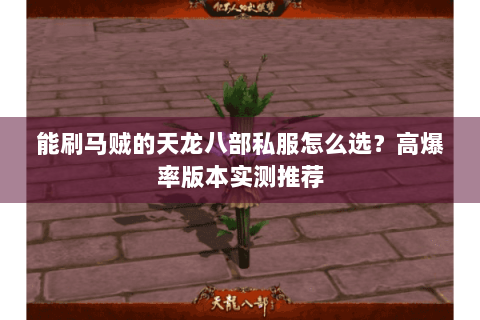 能刷马贼的天龙八部私服怎么选？高爆率版本实测推荐