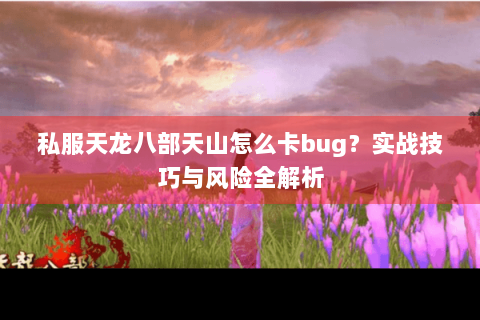 私服天龙八部天山怎么卡bug?实战技巧与风险全解析 私服天龙八部天山怎么卡bug?实战技巧与风险全解析
