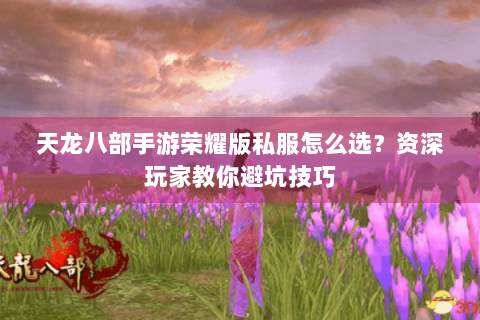 天龙八部手游荣耀版私服怎么选？资深玩家教你避坑技巧