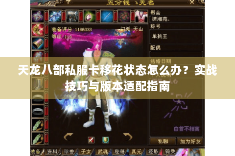 天龙八部私服卡移花状态怎么办？实战技巧与版本适配指南