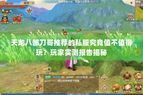 天龙八部刀哥推荐的私服究竟值不值得玩?玩家实测报告揭秘 天龙八部刀哥推荐的私服究竟值不值得玩?玩家实测报告揭秘