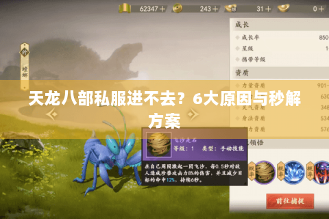 天龙八部私服进不去?6大原因与秒解方案 天龙八部私服进不去?6大原因与秒解方案