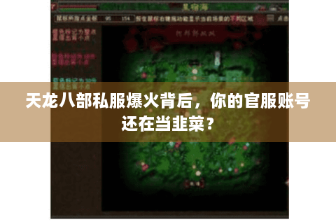 天龙八部私服爆火背后,你的官服账号还在当韭菜? 天龙八部私服爆火背后,你的官服账号还在当韭菜?