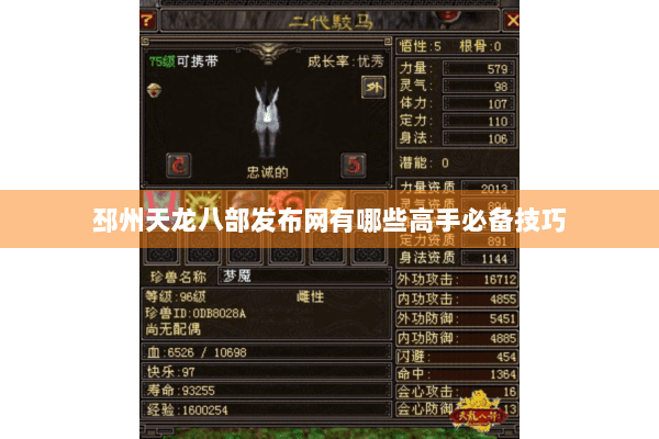 邳州天龙八部发布网有哪些高手必备技巧 邳州天龙八部发布网有哪些高手必备技巧