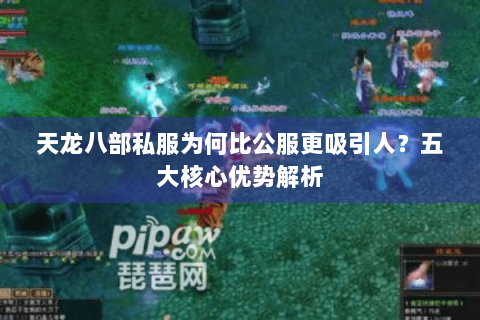 天龙八部私服为何比公服更吸引人?五大核心优势解析 天龙八部私服为何比公服更吸引人?五大核心优势解析