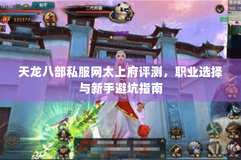 天龙八部私服网太上府评测，职业选择与新手避坑指南