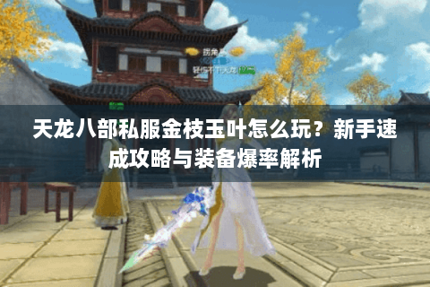 天龙八部私服金枝玉叶怎么玩？新手速成攻略与装备爆率解析