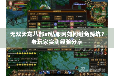 无双天龙八部sf私服网如何避免踩坑？老玩家实测经验分享