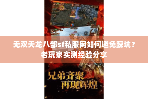 无双天龙八部sf私服网如何避免踩坑？老玩家实测经验分享