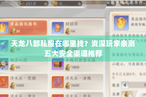 天龙八部私服在哪里找？资深玩家亲测五大安全渠道推荐