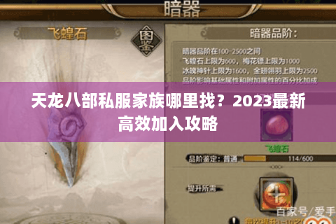天龙八部私服家族哪里找？2023最新高效加入攻略