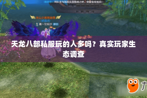 天龙八部私服玩的人多吗?真实玩家生态调查 天龙八部私服玩的人多吗?真实玩家生态调查