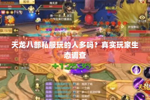 天龙八部私服玩的人多吗?真实玩家生态调查 天龙八部私服玩的人多吗?真实玩家生态调查