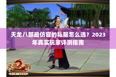 天龙八部最仿官的私服怎么选？2023年真实玩家评测指南
