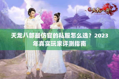 天龙八部最仿官的私服怎么选？2023年真实玩家评测指南