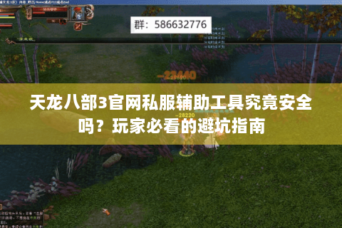 天龙八部3官网私服辅助工具究竟安全吗？玩家必看的避坑指南