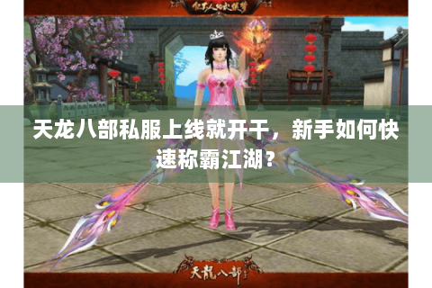 天龙八部私服上线就开干，新手如何快速称霸江湖？