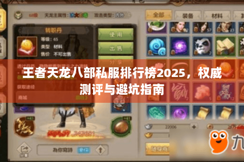 王者天龙八部私服排行榜2025,权威测评与避坑指南 王者天龙八部私服排行榜2025,权威测评与避坑指南
