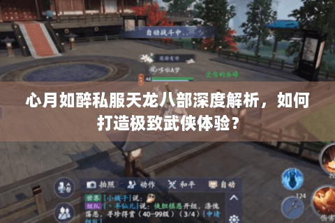 心月如醉私服天龙八部深度解析,如何打造极致武侠体验? 心月如醉私服天龙八部深度解析,如何打造极致武侠体验?