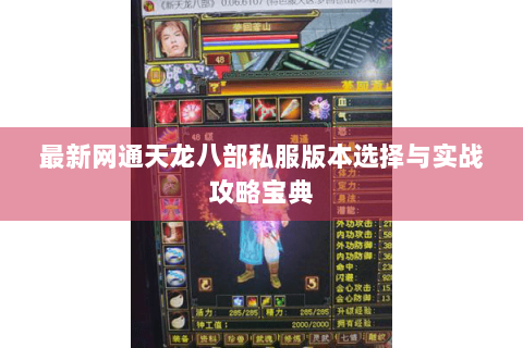 最新网通天龙八部私服版本选择与实战攻略宝典