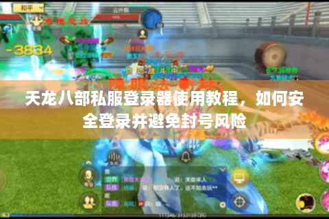 天龙八部私服登录器使用教程，如何安全登录并避免封号风险