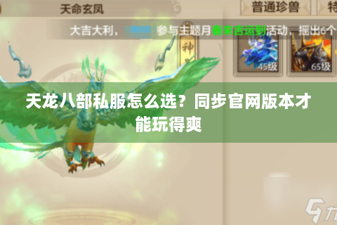天龙八部私服怎么选?同步官网版本才能玩得爽 天龙八部私服怎么选?同步官网版本才能玩得爽