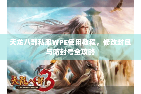 天龙八部私服WPE使用教程,修改封包与防封号全攻略 天龙八部私服WPE使用教程,修改封包与防封号全攻略